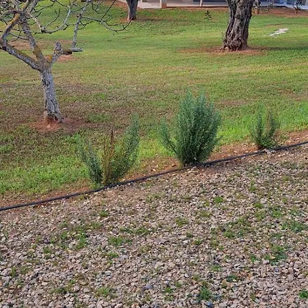 Il Giardino Dei Sogni