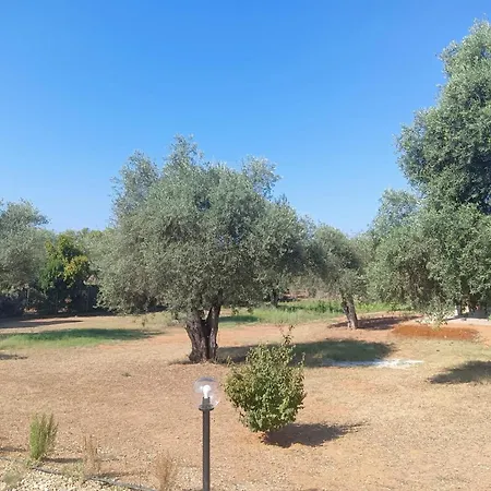 Il Giardino Dei Sogni 3*